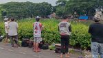 Ngabuburit Seru! Main Layangan Aduan di BKT