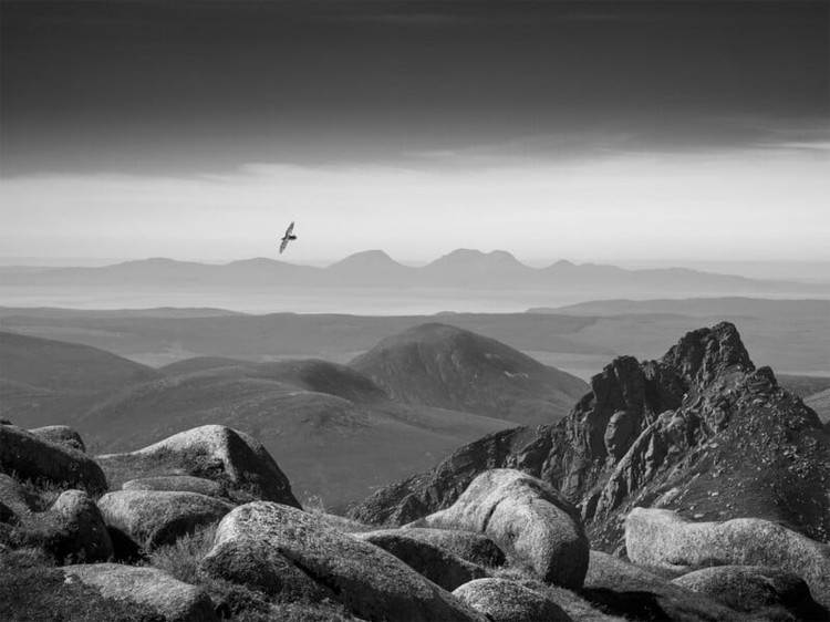 British Wildlife Photography 2024