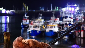 Pemenang kedua kategori Urban Wildlife diraih Will Palmer Foto: British Wildlife Photography