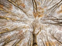 Karya Jawara British Wildlife Photography 2024 Bikin Mata Terpana