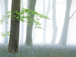 Karya Jawara British Wildlife Photography 2024 Bikin Mata Terpana