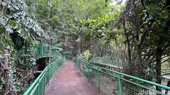 Forest Walk Babakan Siliwangi Bandung.