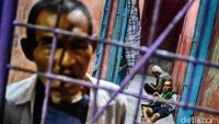 Terdapat 50 santri yang menjalani rehabilitasi di Ponpes Hikmah Syahadah. Mayoritas dari mereka menderita disabilitas mental akibat mengonsumsi narkoba.