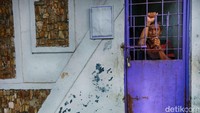 Pasien dengan penderita berat dan sedang ditempatkan di ruangan khusus dengan pintu besi dan gembok, dengan tujuan supaya mereka tidak kabur selama masa pemulihan.