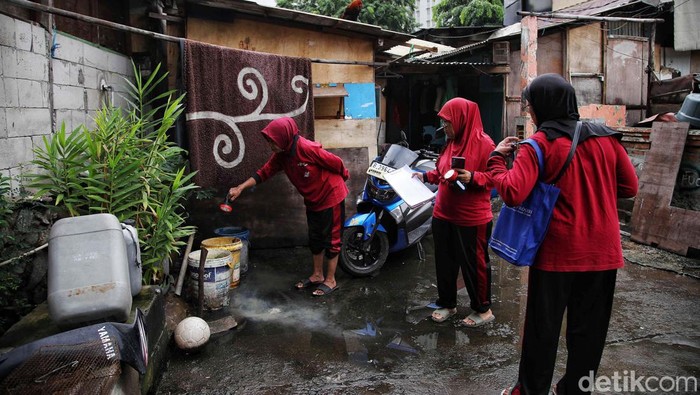 Pemprov DKI Klarifikasi Sanksi Denda atas Keberadaan Jentik Nyamuk