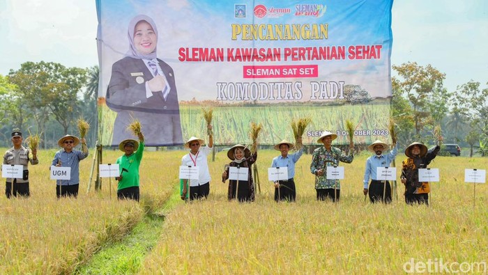 Kabupaten Sleman fokus kembangkan Sleman Kawasan Pertanian Sehat.