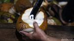 Kelapa Muda Jadi Primadona di Bulan Ramadan