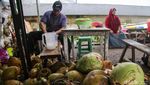 Kelapa Muda Jadi Primadona di Bulan Ramadan