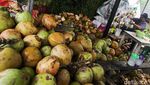Kelapa Muda Jadi Primadona di Bulan Ramadan
