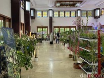Yuk Berburu Tanaman Hias Saat Weekend di Kembang Setaman Festival Surabaya