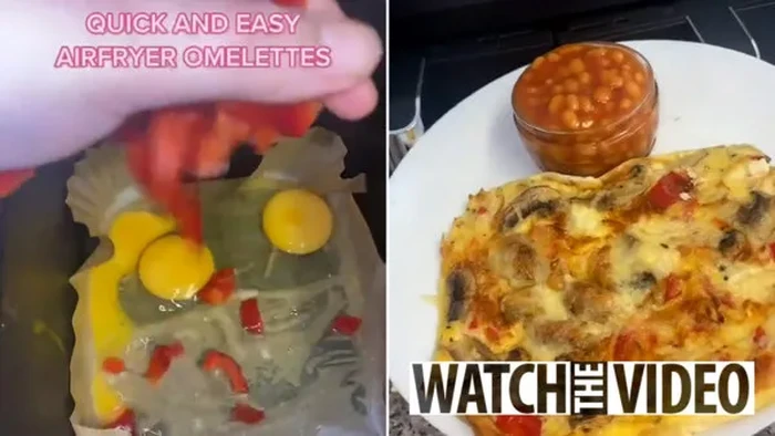 Tak Punya Oven, Wanita Ini Nekat Masak Pakai Mesin Cuci Piring