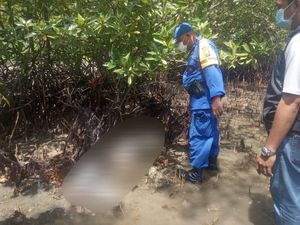 Kerangka Pria Asal Bekasi Ditemukan di Pulau Bawean Gresik