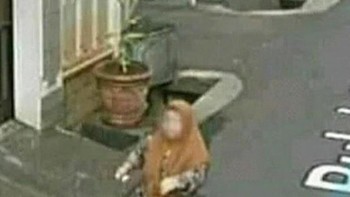 Ibu... motornya ke mana? Foto: Twitter