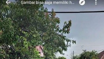 Kaki dan tubuh terpisah... Foto: Twitter