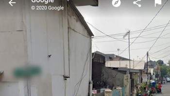 Lagi asik nyari kutu...Foto: Twitter