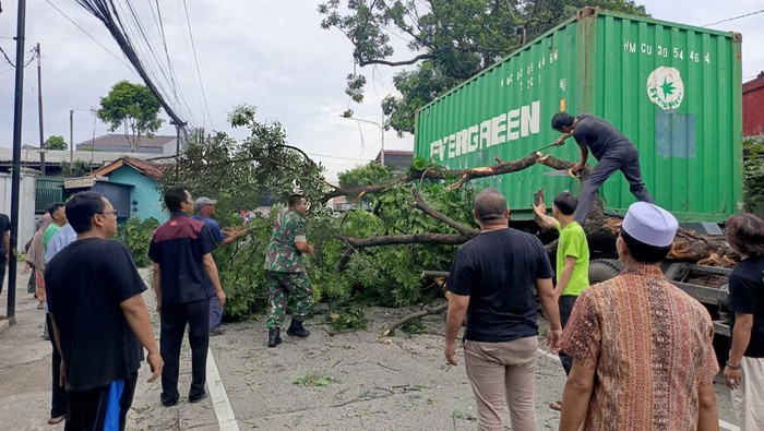 Pohon jenis akasia tumbang akibat tertabrak truk kontainer di Jalan Raya Pemda, Kelurahan Kedunghalang, Kecamatan Bogor Utara, Kota Bogor (dok. BPBD Kota Bogor)