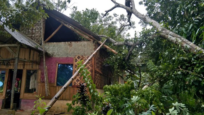 Pohon tumbang menimpa rumah di Kabupaten Lebak, Banten. (Foto: dok. Istimewa)