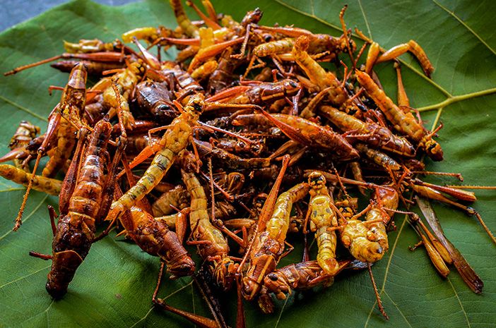 Tak Perlu Ragu! 5 Makanan Ini Ternyata Halal untuk Muslim