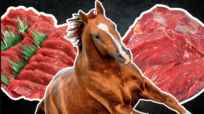 Tak Perlu Ragu! 5 Makanan Ini Ternyata Halal untuk Muslim