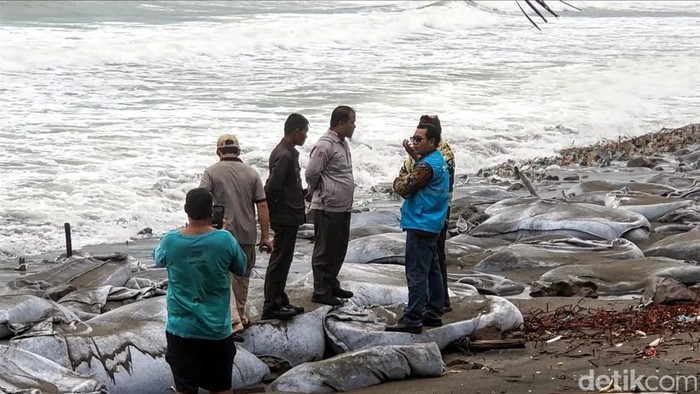 Tim PLTU Palabuhanratu mengecek kerusakan akibat banjir rob.
