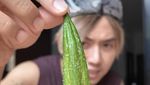 10 Potret Seru Rafael Tan Makan Bakso hingga Sop Babi di Thailand