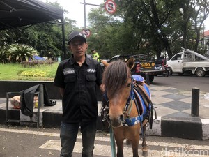 Keluh Kesah Tukang Sewa Kuda di Masjid Pusdai Bandung