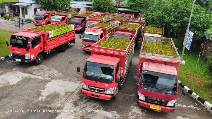 Distribusi gas elpiji 3 kg