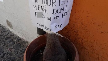 Bukan toilet umum! Foto: Boredpanda