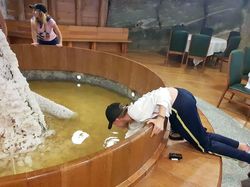 Foto Kelakuan Turis Bikin Tepok Jidat, Ada di Indonesia