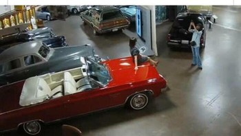 Kelakuan turis di museum transportasi. Foto: Boredpanda