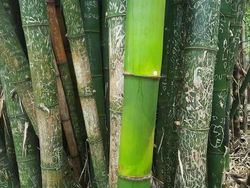 Foto Kelakuan Turis Bikin Tepok Jidat, Ada di Indonesia