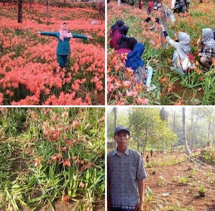 Foto Kelakuan Turis