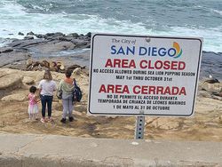 Foto Kelakuan Turis Bikin Tepok Jidat, Ada di Indonesia