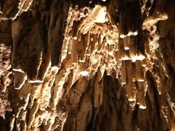 Foto Kelakuan Turis Bikin Tepok Jidat, Ada di Indonesia