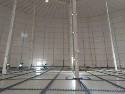 Deretan Foto Unik dan Aneh di Dunia yang Belum Pernah Dilihat