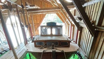 Segumpal Ubur-ubur Berkumpul di Bawah Perahu Ini Foto: Boredpanda