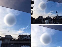 Deretan Foto Unik dan Aneh di Dunia yang Belum Pernah Dilihat