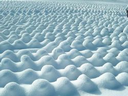 Deretan Foto Unik dan Aneh di Dunia yang Belum Pernah Dilihat