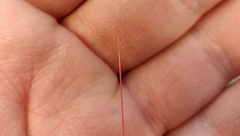 Ukuran Kawat Fiber Optic Yang Mampu Menghadirkan Internet Berkecepatan Tinggi Foto: Boredpanda