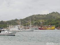 7 Fakta PT Flobamor yang Angkat Kaki dari Taman Nasional Komodo