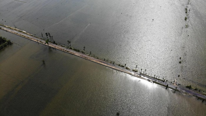 Lahan pertanian terdampak banjir luapan Bengawan Solo Foto udara kondisi persawahan yang terendam banjir di Rangel, Tuban, Jawa Timur, Sabtu (16/3/2024). Menurut Badan Penanggulangan Bencana Daerah (BPBD) Tuban, luapan Sungai Bengawan Solo yang terjadi sejak Minggu (10/3) itu mengakibatkan puluhan hektare lahan pertanian di 26 desa terendam banjir. ANTARA FOTO/Muhammad Mada/YU
