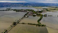 Foto udara kondisi persawahan yang terendam banjir di Rangel, Tuban, Jawa Timur, Sabtu (16/3/2024).