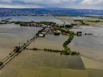 Puluhan Hektar Lahan Pertanian Terdampak Banjir Luapan Bengawan Solo