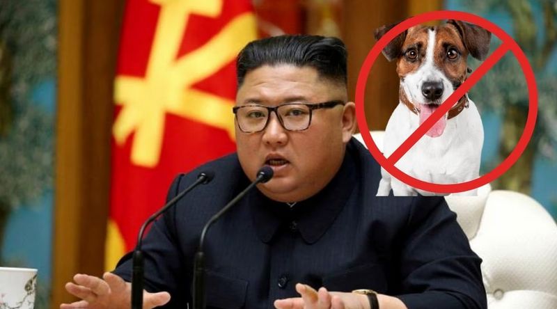 Pemerintah Korea Utara melarang warganya memelihara anjing kecuali untuk dimakan