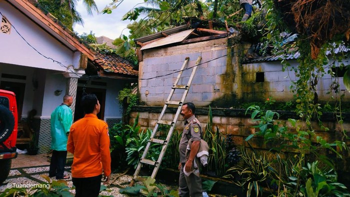 Pohon tumbang di Bogor timpa 2 rumah