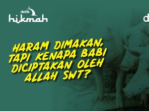 Haram Dimakan, tapi Kenapa Babi Diciptakan oleh Allah SWT?