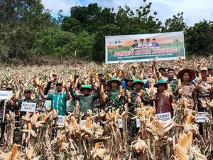 Kementan Salurkan Bantuan Benih Bibit Padi-Jagung 62 Ribu Hektare di Bone