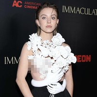 Di bagian pinggangnya ada sepasang lengan yang melingkari seolah untuk menopang bouquet bunga tersebut.Foto: dok. Instagram Sydney Sweeney, Balmain