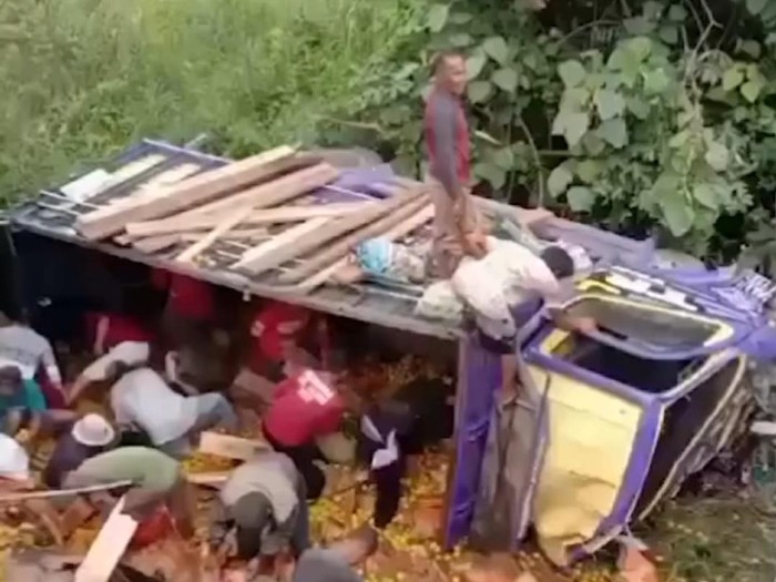 Warga menjarah jerung yang berhamburan dari truk terguling