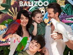 Yuk Kenalan dengan 500+ Hewan Langka dan Eksotik di Bali Zoo